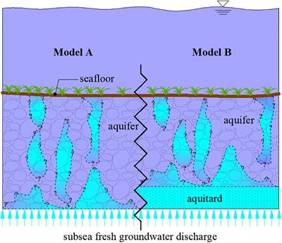 Mixed-Convective Processes Within Seafloor Sediments Arising From Fresh Groundwater Discharge